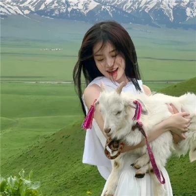 桃花映江山